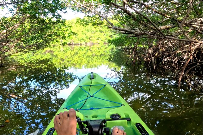 Mangrove Tunnels Pedal Kayak Eco-Tour in Anna Maria - Guided Tour Details