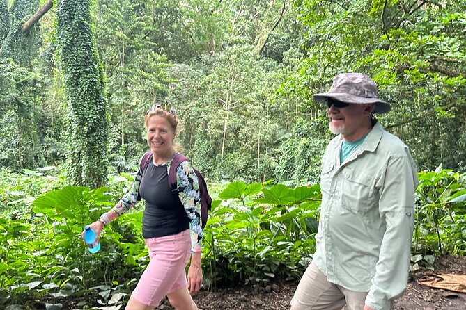 Manoa Falls-Electric Bike to Hike Experience Local Meal Included - Health and Safety Requirements