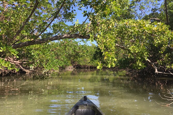 Marco Island Mangrove Tunnel and Maze Adventure Small Group Size - Attire and Essentials