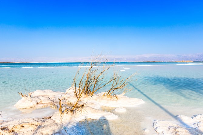 Masada and Dead Sea From Tel Aviv - Accessibility Features