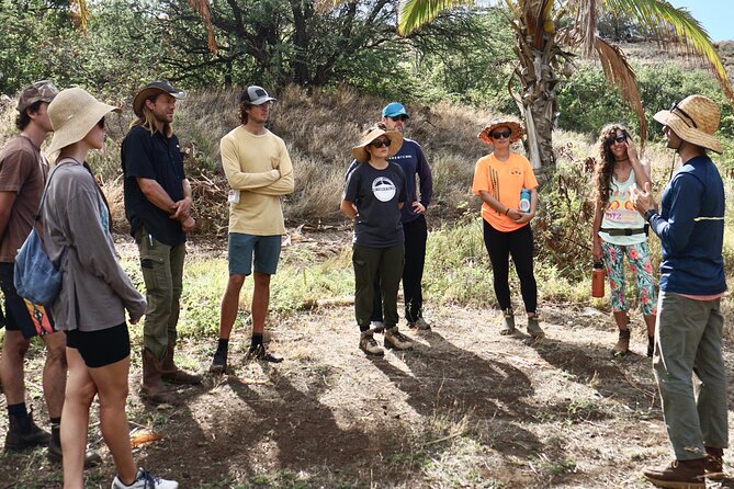 Maui Native Reforestation Experience Review - Highlights and Takeaways