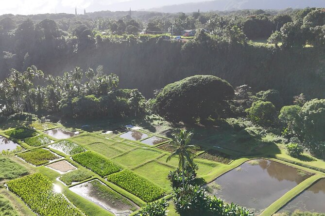 Maui's Sea Turtles, Waterfalls and Road to Hana Adventure - Exploring Mauis Diverse Landscapes