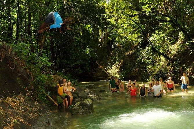 Mayfield Falls From Montego Bay - Traveler Requirements and Policies