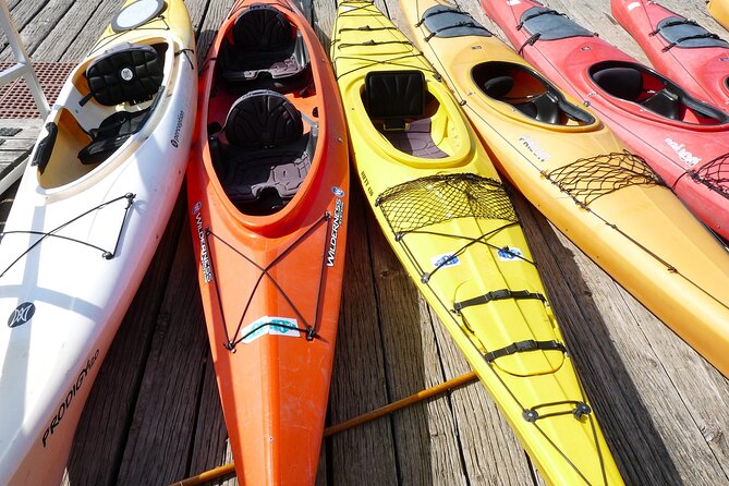 Miami Kayak Sunset Biscayne Bay Tour Review - Participant Considerations