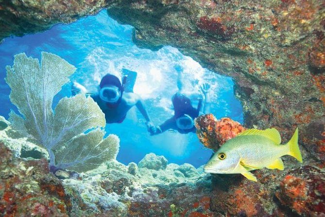 Miami Sightseeing Day Pass Review: Explore More - Top Attractions and Experiences