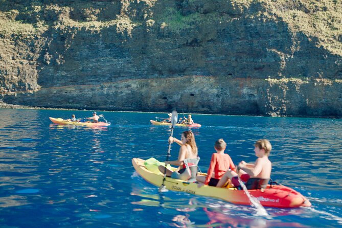 Midday Meander - Kealakekua Bay Kayak and Snorkel Adventure - Pricing and Cancellation Policy