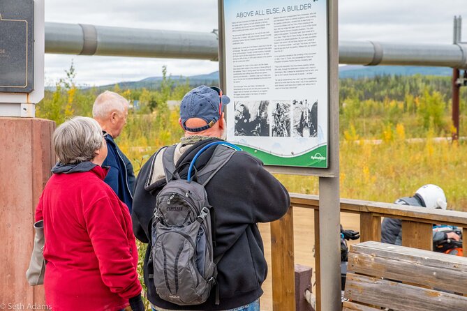 Midnight Sun Arctic Circle Drive Adventure - Traveler Feedback and Experiences