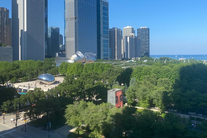 Millennium Park Art and Architecture Walking Tour - What to Expect on the Tour