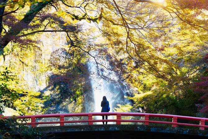 Minoo Park Adventure: Nature, Temples, and Coffee Bliss - Navigating the Tours Seamless Logistics