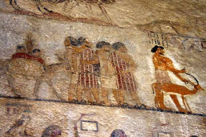 Minya, Tell El Amarna, Beni Hassan Day Tour From Cairo - Inclusions and Amenities