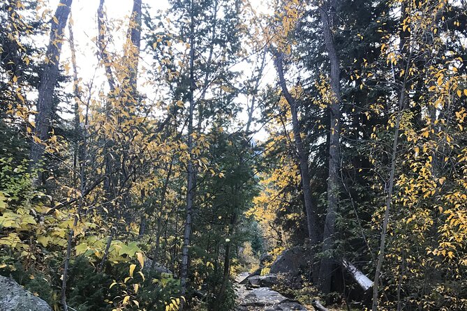 Mirror Lake & Lone Eagle Peak Review - Frequently Asked Questions