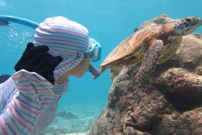 [Miyakojima Snorkel] Private Tour From 2 People Lets Look for Sea Turtles! Snorkel Tour That Can Be Enjoyed From 3 Years Old - Health and Accessibility