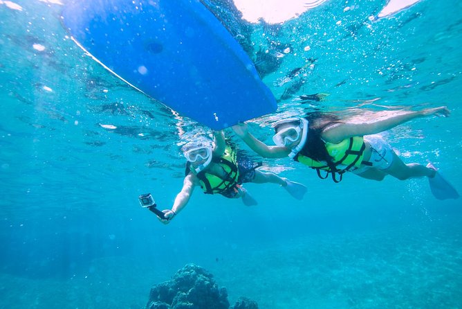 Miyakojima / Snorkel Tour to Swim With Sea Turtles - Health and Safety Guidelines