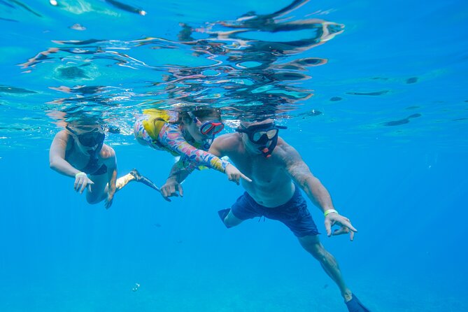 Molokini Snorkel & Whale Watching From Kihei - Participant Restrictions