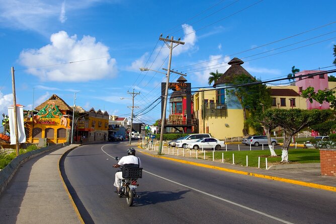 Montego Bay City Highlights & Bird Sanctuary & Shopping - Reviews and Ratings
