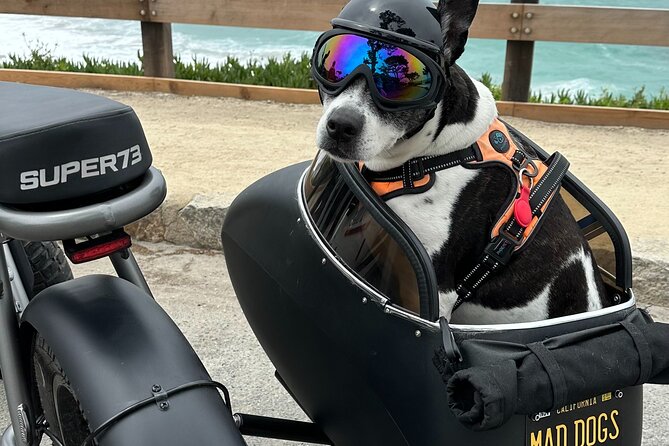Monterey Bay Famous Dog Friendly Electric Bike and Sidecar Tour - Important Safety Information