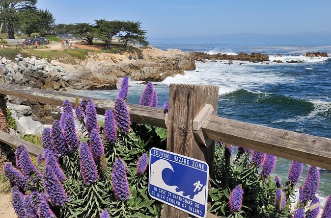Monterey, Carmel and 17-Mile Drive: Full Day Tour From SF - Exploring Montereys Attractions