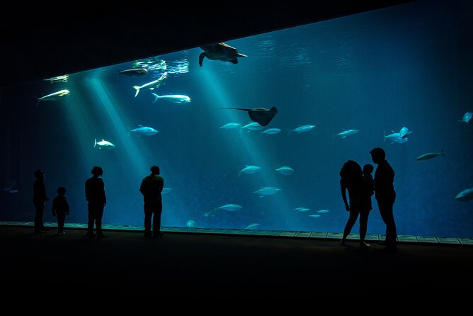 Monterey: Ocean Paradise Tour Review - Pricing and Cancellation Policy
