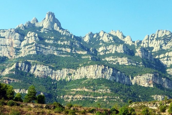 Montserrat Mountains Half - Day Private Tour - From Barcelona - Visiting the Montserrat Monastery