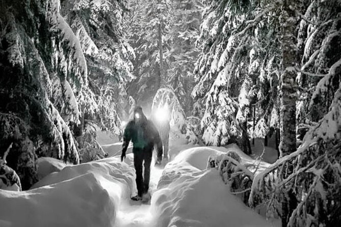 Moonlight Snowshoe Hike - Warming up With Hot Beverages