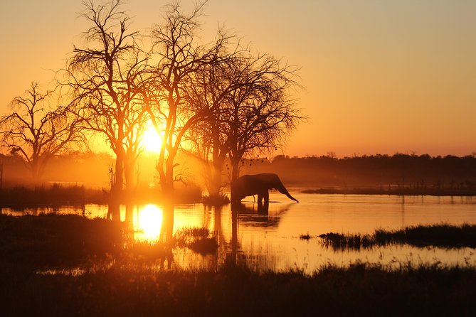 Moremi Game Reserve Day Trip - Transportation Details