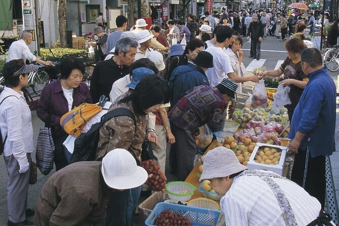 Morioka Half-Day Private Tour With Government-Licensed Guide - Accessibility and Participation