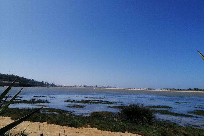 Moroccan Coastal Journeys: Marrakech to El Oualidia VIP Transfers - Customer Experience