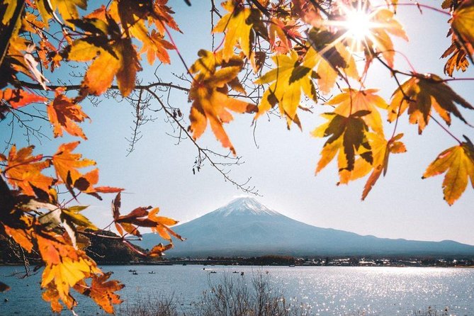 Mount Fuji Classic Day Tour (Join Tour) - What to Expect
