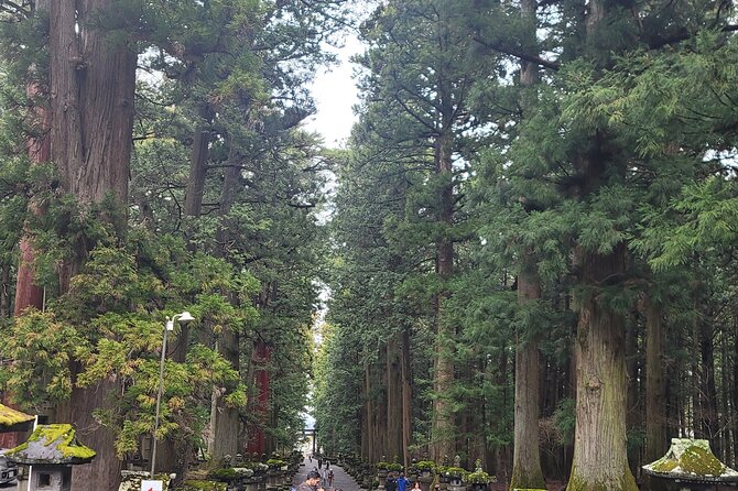 Mount Fuji Day Tour With English/Hindi Speaking Guide - Explore Mount Fuji and Its Surroundings