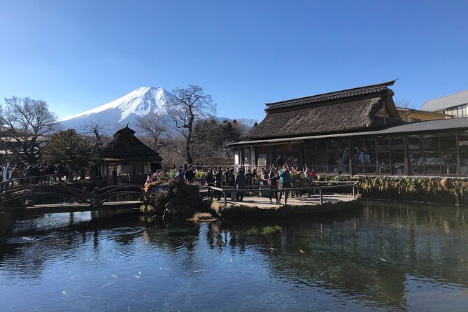 Mount Fuji Full Day Sightseeing Tour From Tokyo - Feedback and Reviews