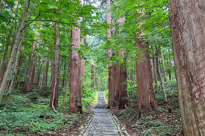 Mount Haguro E-Bike Sightseeing Tour in Yamagata, Japan - Exploring Mount Haguro