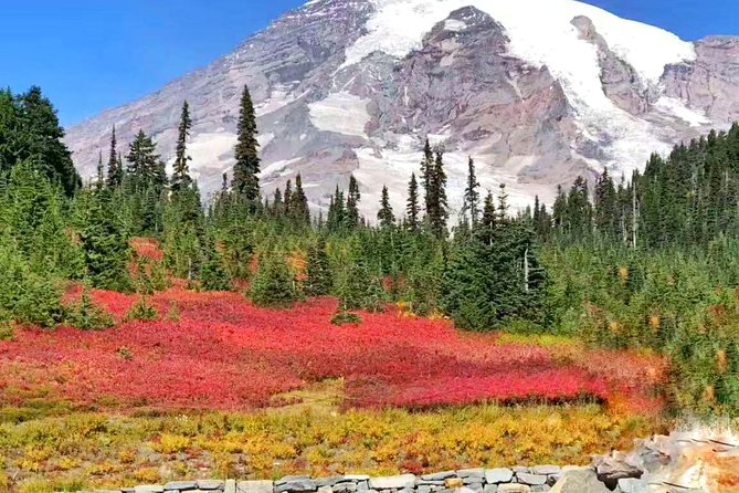 Mount Rainier National Park Day Tour From Seattle - Natural Wonders of Mount Rainier