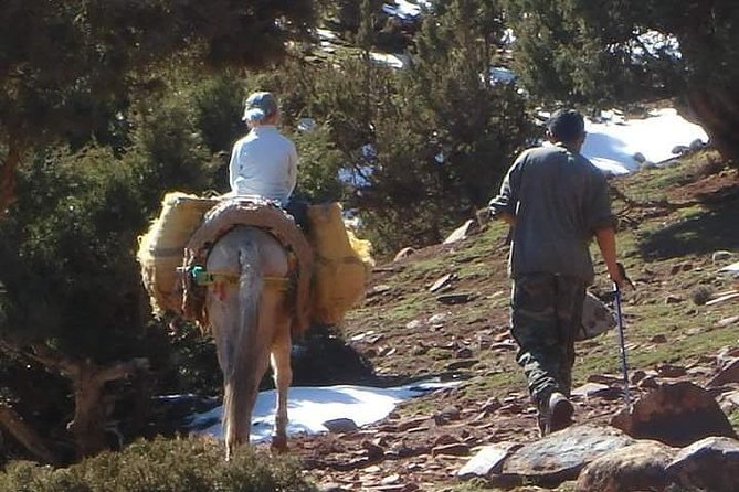 Mount Toubkal 2day Trekking From Marrakech - Accessibility Features