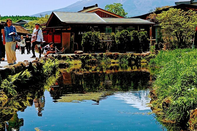 Mountain Fuji Tour In Japan With Professional English Tour Guide - Booking and Additional Information