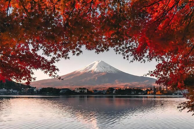 Mt. Fuji 5th Station Day Tour and Matcha Making in Tokyo - Start Time and Accessibility