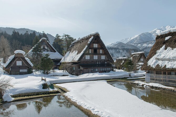 Mt. Fuji and Hakone Private Day Tour With English Speaking Guide - Accessibility Considerations