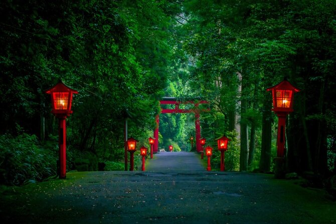 Mt Fuji and Hakone Private Day Tour - Transportation and Accessibility