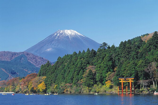 Mt.Fuji and Hakone Private SightSeeing Day Tour(from Tokyo) - Customer Reviews