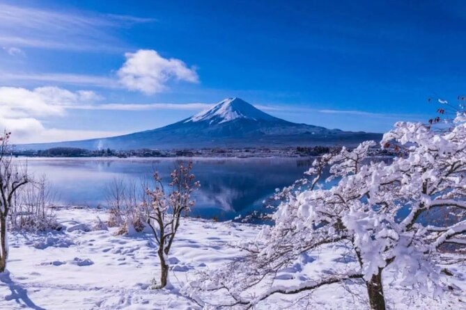 Mt. Fuji Day Tour From Shinjuku in Tokyo Japan - What to Expect