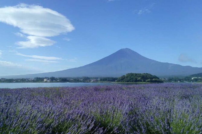 Mt.Fuji Day Tour From Tokyo With Chinese and English Service - Group Size and Pricing