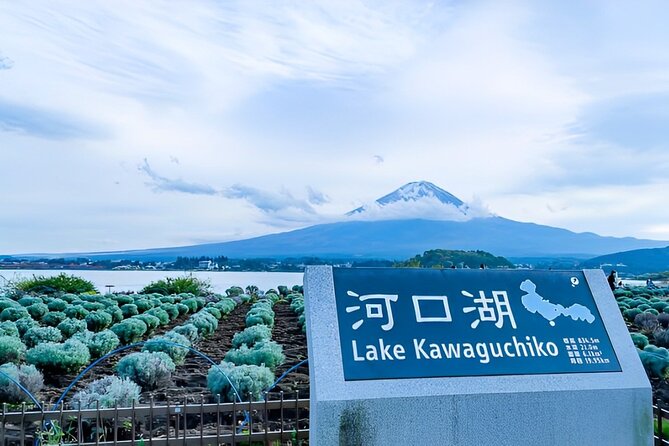 Mt FUJI Day Tour With Private Car and English Speaking Guide - Additional Noteworthy Details