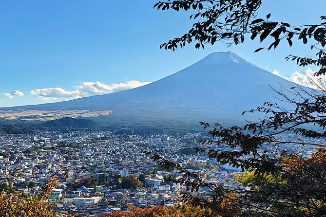 Mt. Fuji Guided Private Tour GREEN NUMBER PLATES - Booking and Cancellation Policy