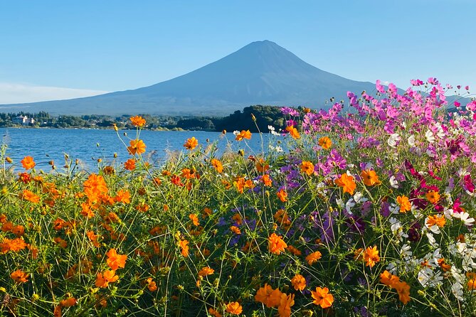 Mt.Fuji Hakone Private Tour With English Speaking Chauffeur - Discovering Hakone