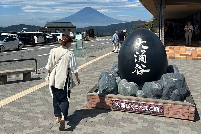 Mt.Fuji & Hakone Tour, From-To Tokyo/Yokohama/Odawara, 2-12guests - Reviews and Feedback
