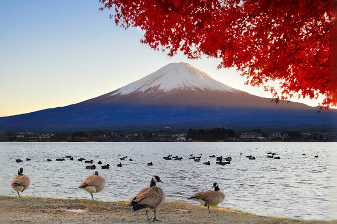 Mt Fuji Lake Kawaguchi and Yamanaka Hot Spring Day Tour in Tokyo - Participant Requirements