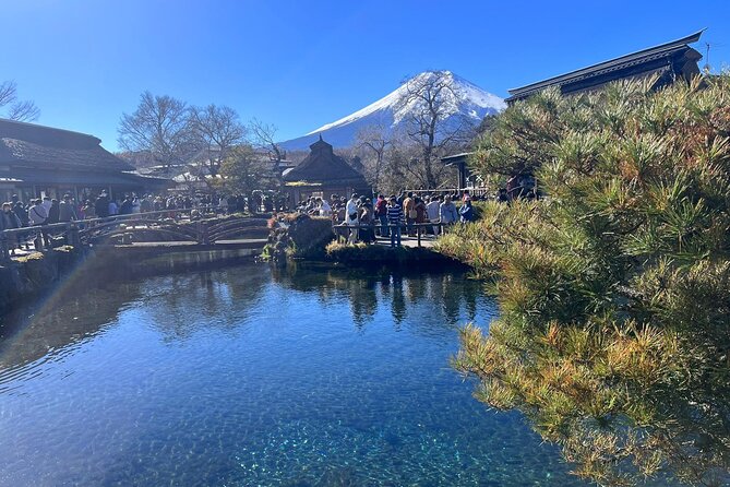 Mt. Fuji, Lake Kawaguchiko Private Tour With Pick up - Reviews and Feedback