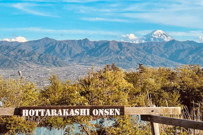 Mt FUJI - Panoramic Tour W/ Hoto Lunch, JP Sake & Onsen Tatto OK! - Customer Feedback and Recommendations