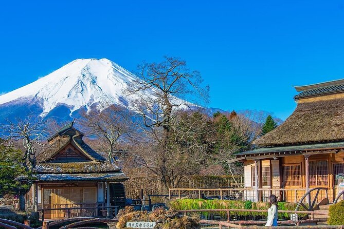 Mt.Fuji Private Day Trip From Tokyo With Driver & Top Photo Spots - Booking Flexibility