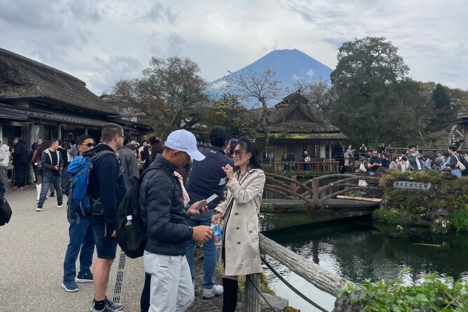 Mt Fuji Private Sightseeing Tour From Tokyo - Accessibility and Participation