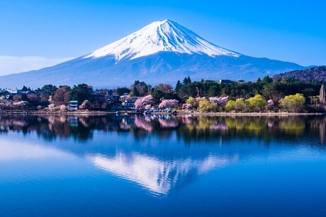 Mt. Fuji Private Tour From Tokyo With English Guide - What to Expect